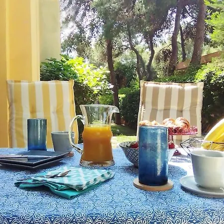 Garden With Bbq In The Athenian Riviera * Atény