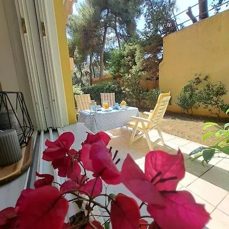 Garden With Bbq In The Athenian Riviera * Atény